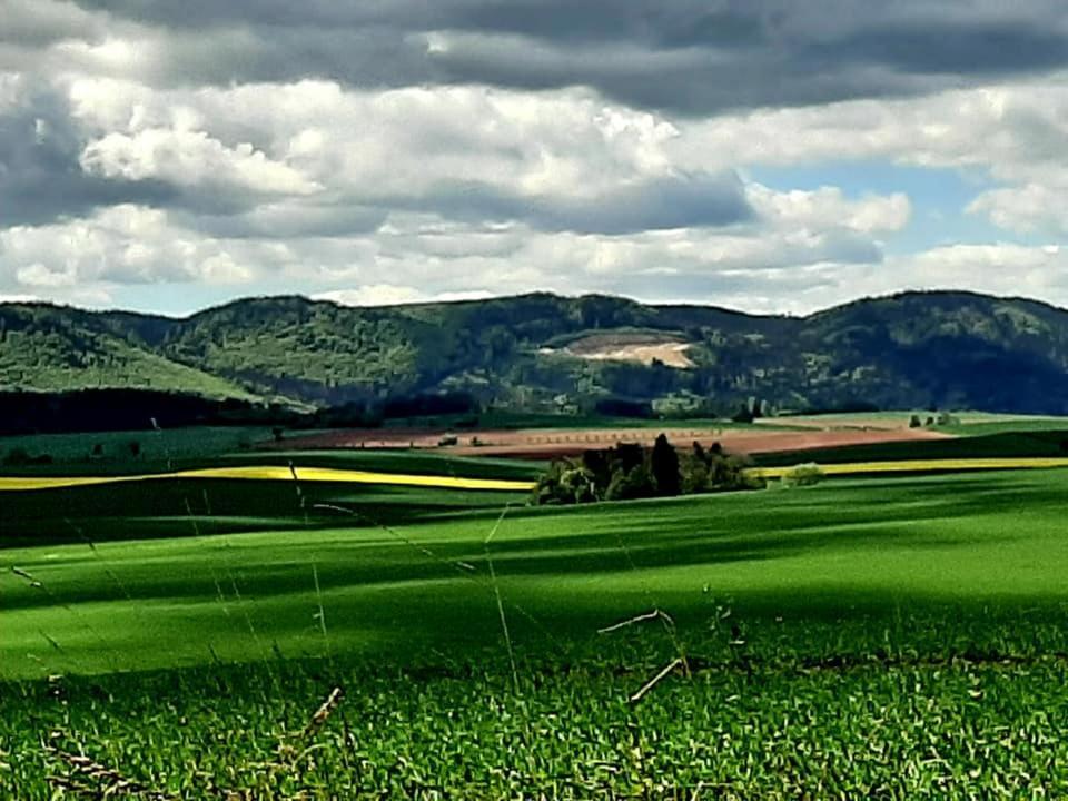 Zielona Roza Villa Wambierzyce Eksteriør billede