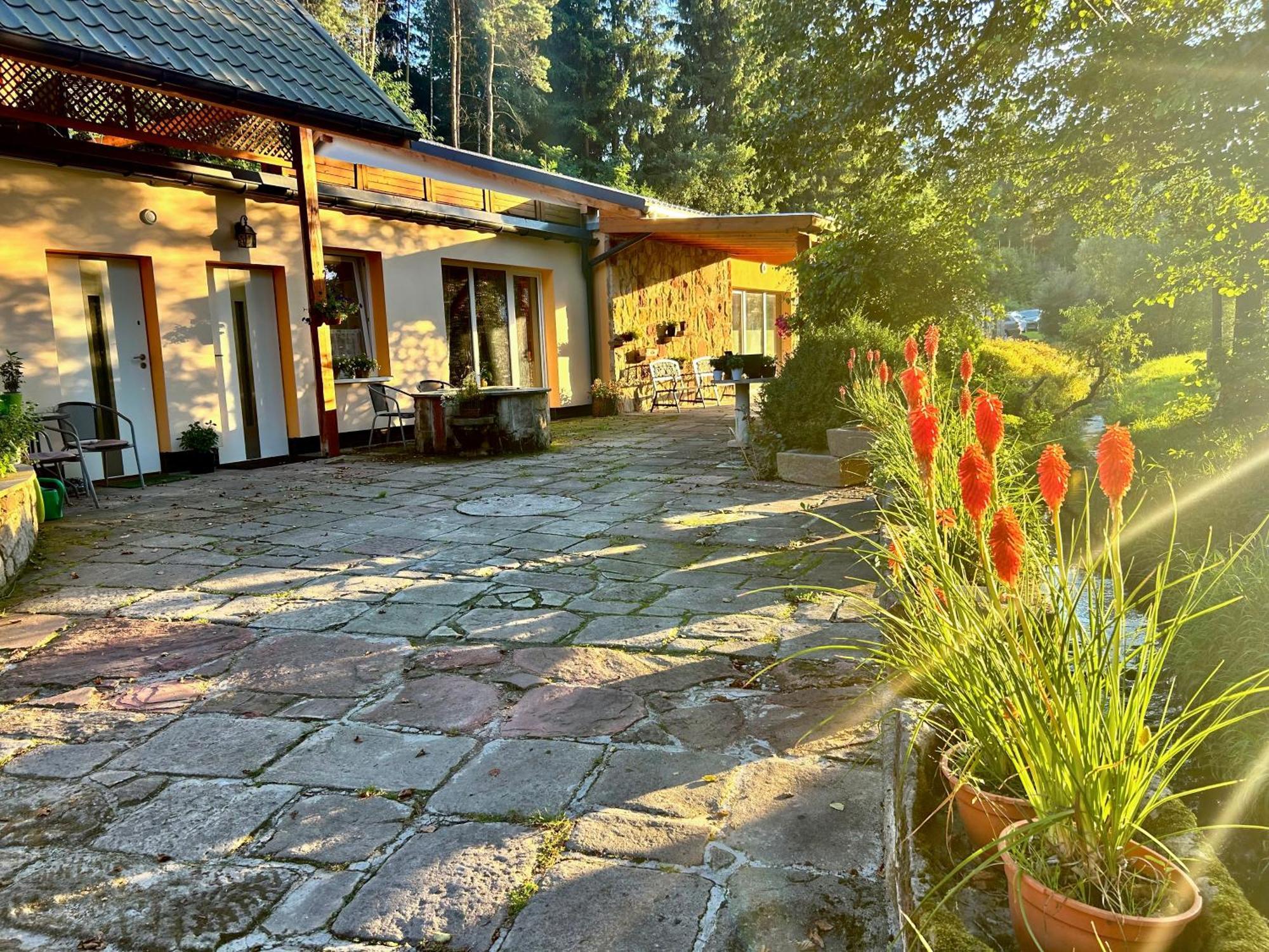 Zielona Roza Villa Wambierzyce Eksteriør billede